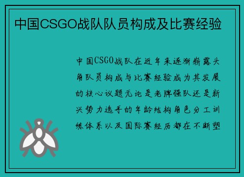 中国CSGO战队队员构成及比赛经验